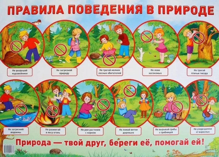 Безопасность в природе Безопасность в природе.